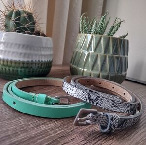 American Eagle Outfitters Green/Mint and Snakeskin Belts Size XS/S